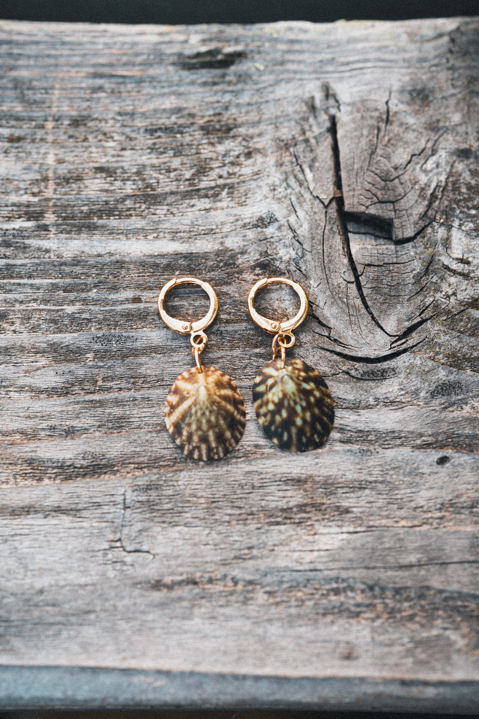 The Kai Limpet Earrings thumbnail 6
